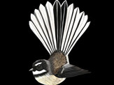 Fantail with Manuka Print (3 Options)