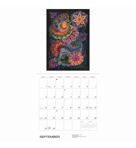 Fantasia 2024 Wall Calendar by Pomegranate ukraine