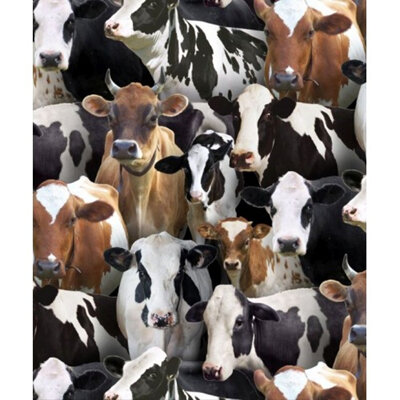 Farm Animals - Cows 432