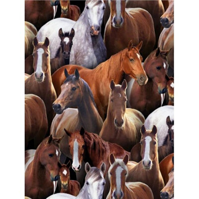 Farm Animals - Horses -433