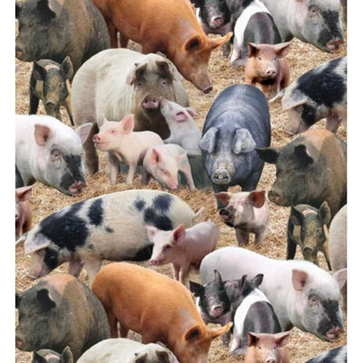 Farm Animals - Pigs - Brown 431