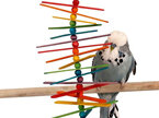 Featherland Paradise - Popsicle Sticks