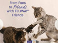 Feliway Friends Diffuser + Refill