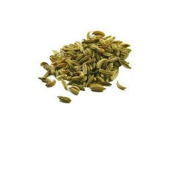 Fennel Seed Organic Approx 10g