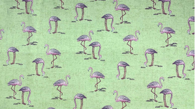 Fern Garden - Flamingo