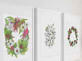 "Festive Flora" Prints and Greeting cards