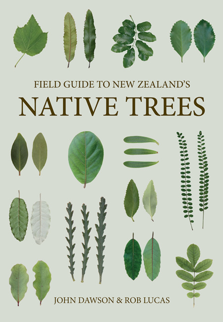Field Guide to Native Trees Revised - John Dawson & Rob Lucas