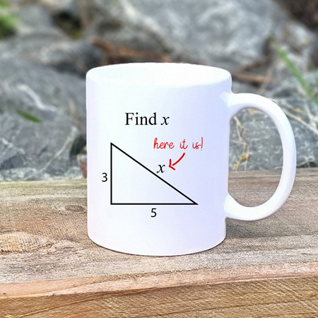 Find x Mug