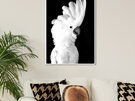 Fine Feathers Framed Canvas Print