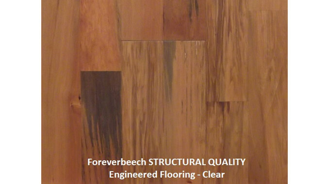 Finishing kit, clear, oil, hardwood floor, foreverbeech engineered flooring