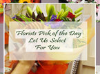 Florists Pick of the Day Bouquets & Posies