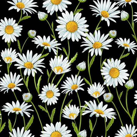 Flower Market - Daisies