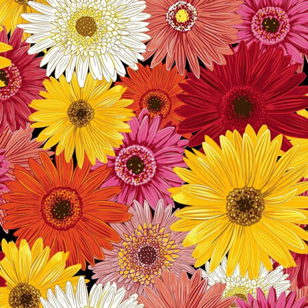 Flower Market - Gerberas