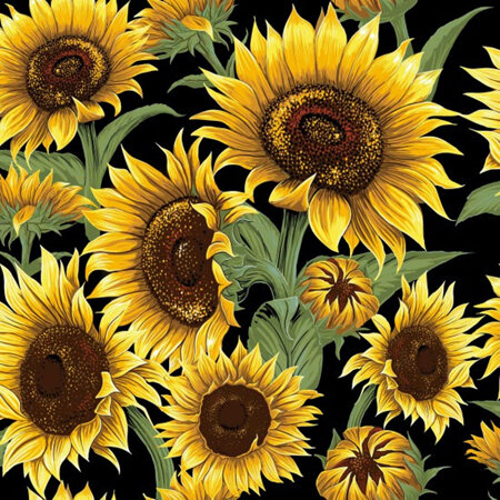 Flower Market - Sunflowers