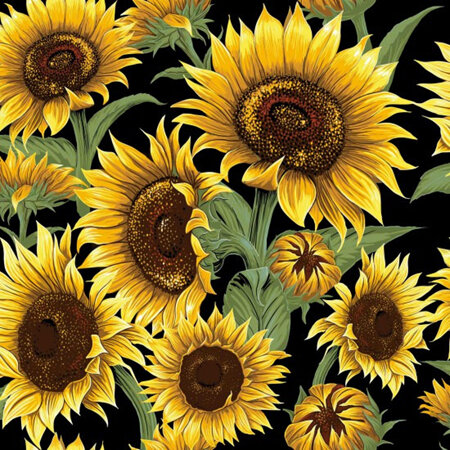 Flower Market Sunflowers NT81090101