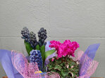 Flowering Plant Basket