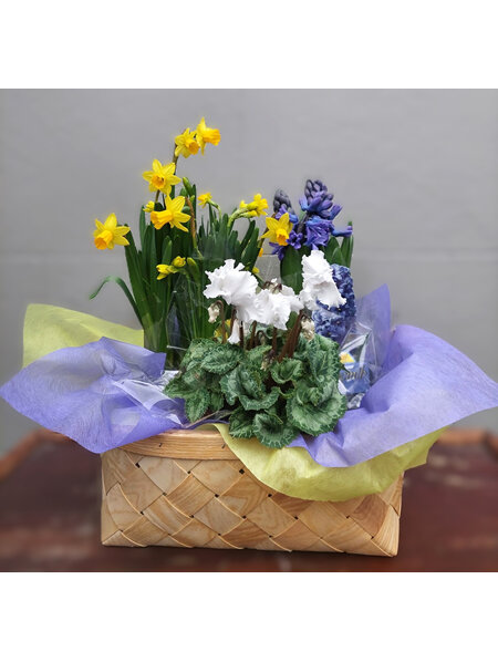 Flowering Plant Basket