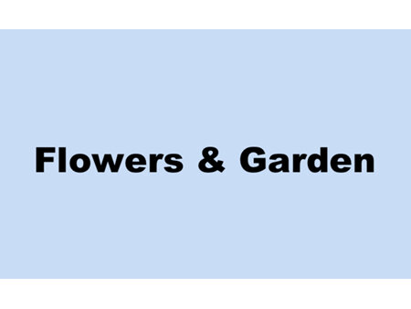 Flowers & Garden