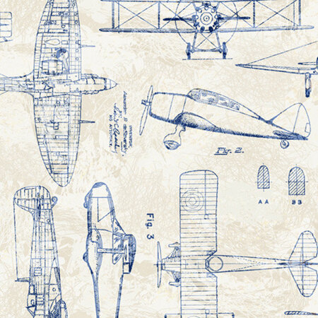 Flying High - Airplane Toile