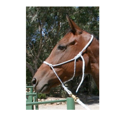 Foal Natural Horsemanship Training Rope Halter