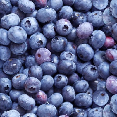Food Festival - Blueberries Packed