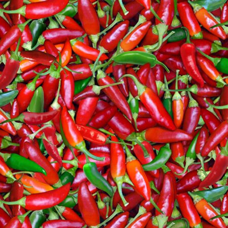 Food Festival - Chilli 576