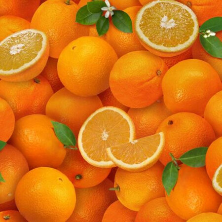 Food Festival Oranges 261-Orange