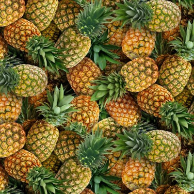 Food Festival - Pineapple