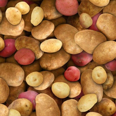 Food Festival - Potatoes Multi