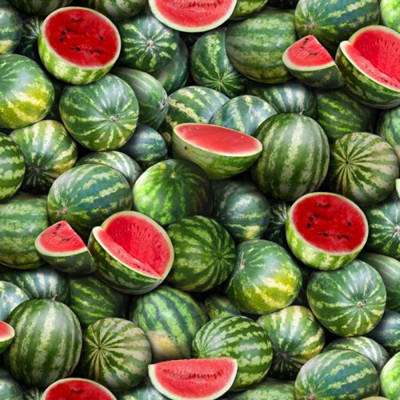 Food Festival - Watermelon