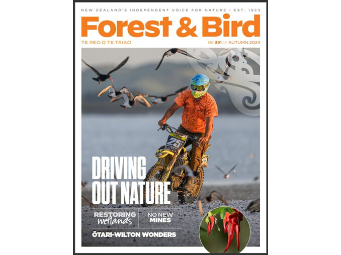 Forest & Bird magazine