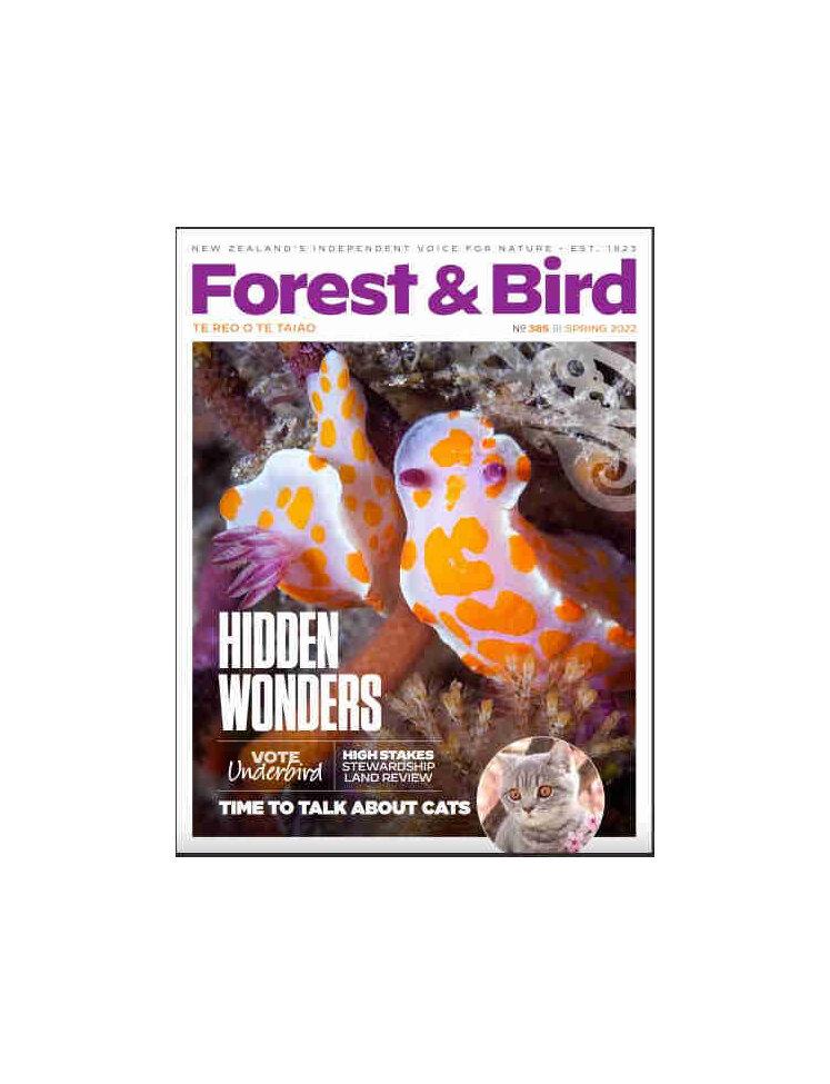 Forest & Bird magazine