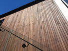 Foreverbeech™ HT49 Engineered Shiplap Cladding Brushed Grain Face 5.4m lengths