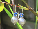 forget me not blue flowers pearl earrings  silver lilygriffin nz jeweller