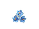 Forget Me Not Flower bouquet blue wedding lapel pin luck lilygriffin nz jeweller