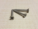 Fortress Fasteners 6g x 32mm C3 Galvanised Collated Screws 200 pc jar