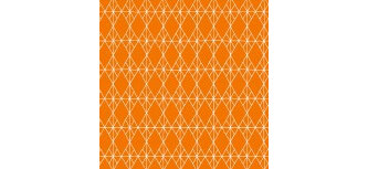 Foundation Orange 41870 110