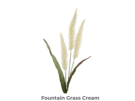 Fountain Grass 94cm Cream