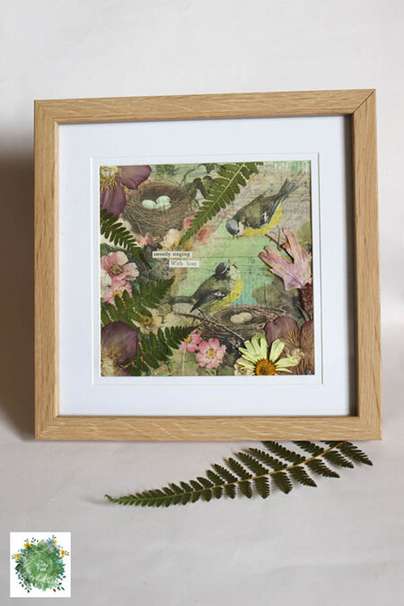 Framed Pressed Flowers - Sweetly Singing Art