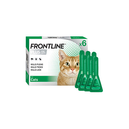 FRONTLINE PLUS for Cats - six pack