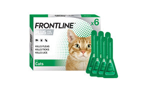 FRONTLINE PLUS for Cats - six pack