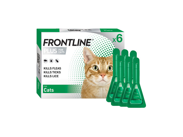 FRONTLINE PLUS for Cats - six pack