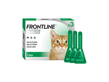 FRONTLINE PLUS for Cats - triple pack