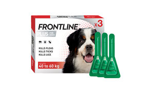 FRONTLINE PLUS for Dogs - 40.1-60kg - triple pack