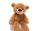 fuzzy beige bear 38cm gund teddy soft toy kids baby