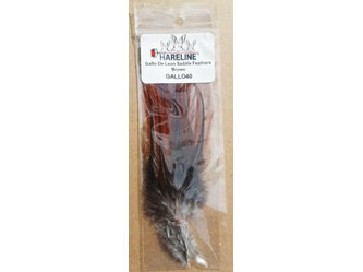 Gallo De Leon Saddle Feathers Brown