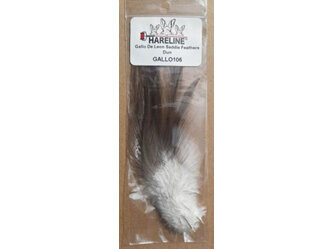 Gallo De Leon Saddle Feathers Dun