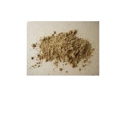 Garam Masala Blend Organic - 10g