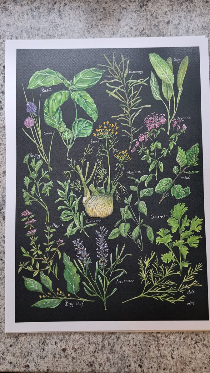 Garden Herbs Colourway