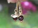 Garnet rosehip earrings gold january birthstone red lily griffin jewellery
